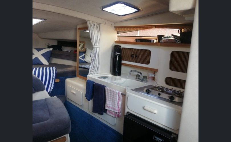 Sea Ray Sundancer 290-kuva-12